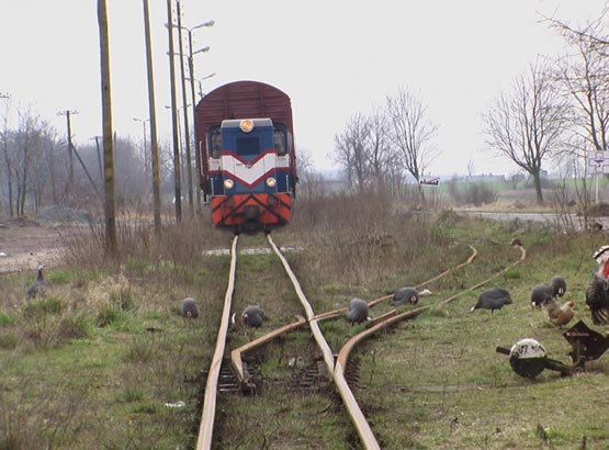 [Rozmiar: 49992 bajtw]